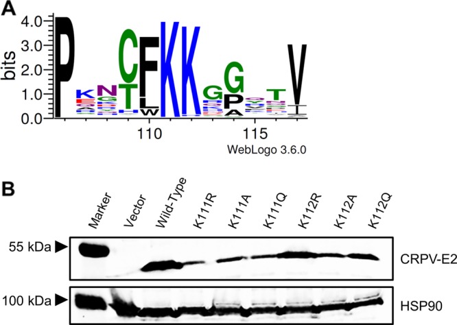 FIG 1