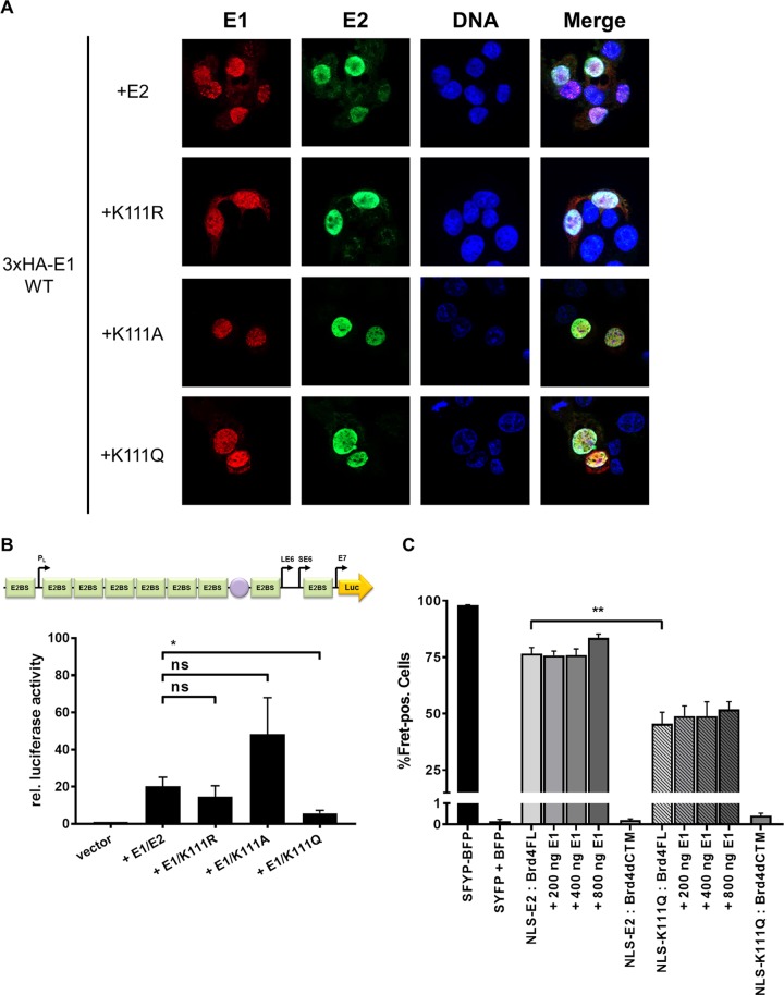 FIG 6