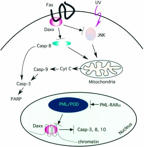 FIG. 10.