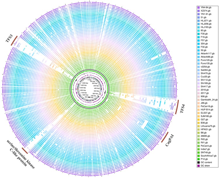 Fig 3