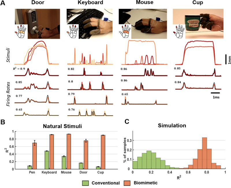 Figure caption 3.