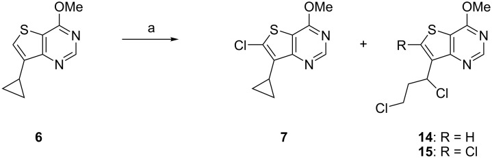 Scheme 2