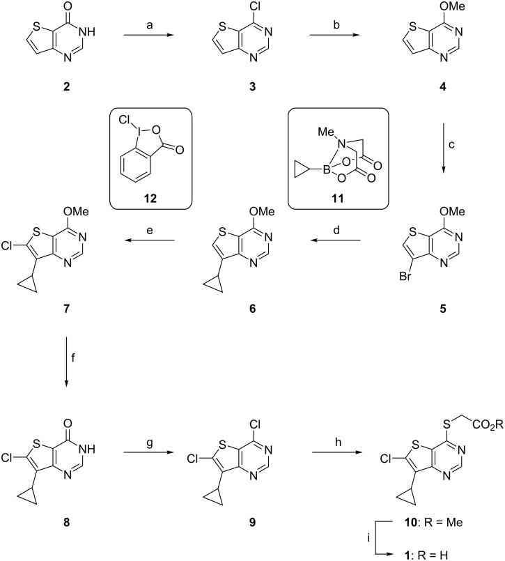 Scheme 1