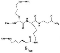 graphic file with name pharmaceutics-14-02016-i002.jpg