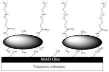 graphic file with name pharmaceutics-14-02016-i004.jpg