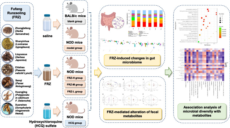 graphic file with name 12906_2023_4017_Figa_HTML.jpg