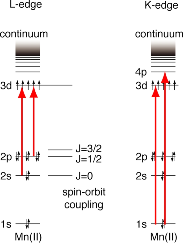 Fig. 1