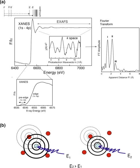 Fig. 2