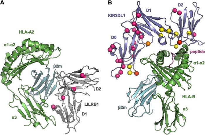 FIGURE 4.