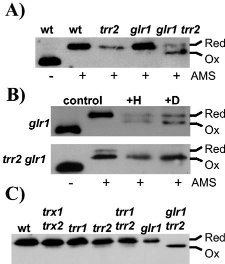 FIG. 8.