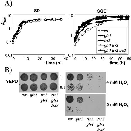 FIG. 7.