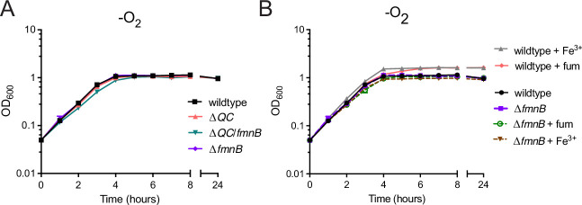 Figure 1—figure supplement 1.