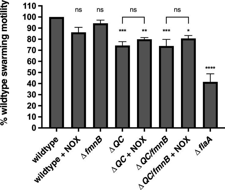 Figure 3—figure supplement 1.