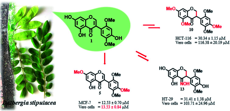 graphic file with name d2ra02865d-ga.jpg