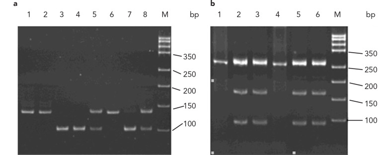 FIG. 1. a, b.