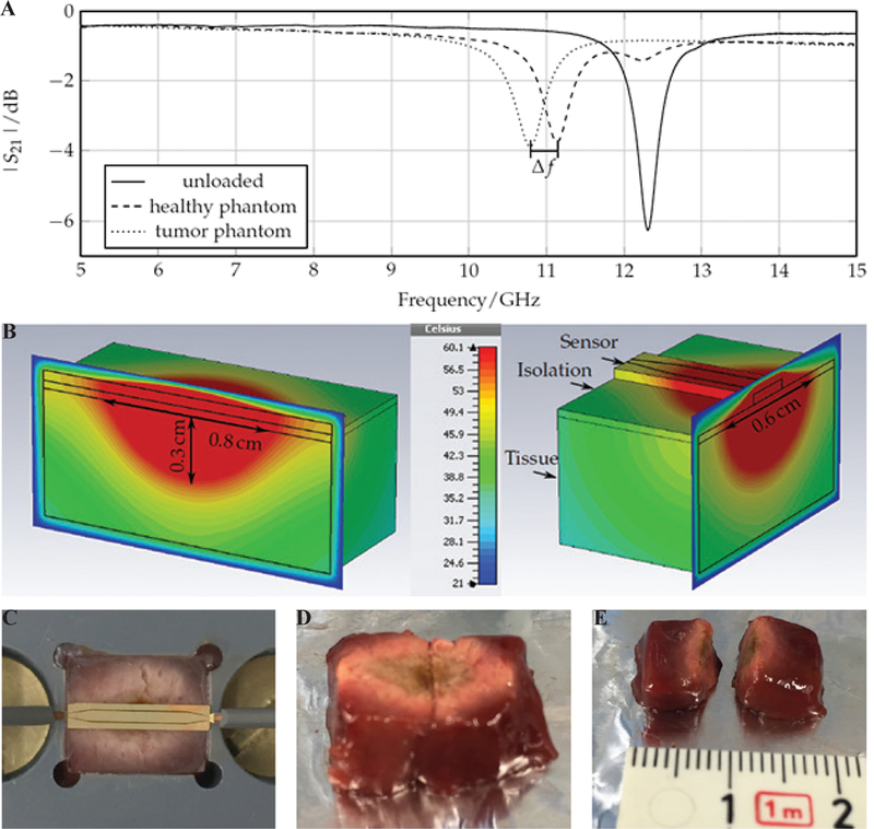 FIG. 21: