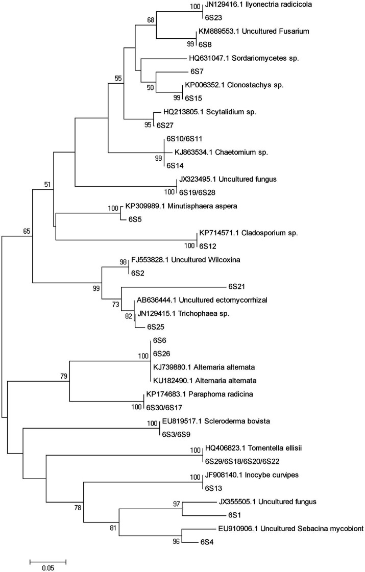 Figure 7