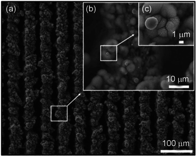 Fig. 12