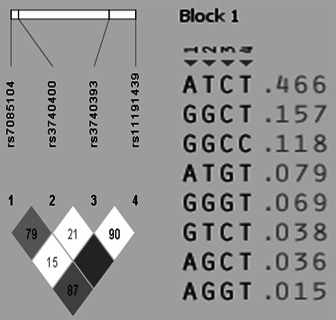 Fig. 2