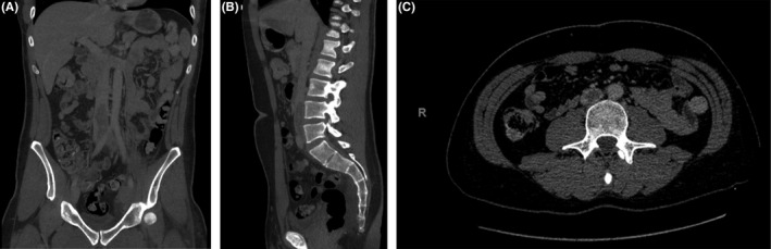 FIGURE 1