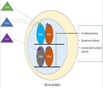 graphic file with name nihms900678u1.jpg