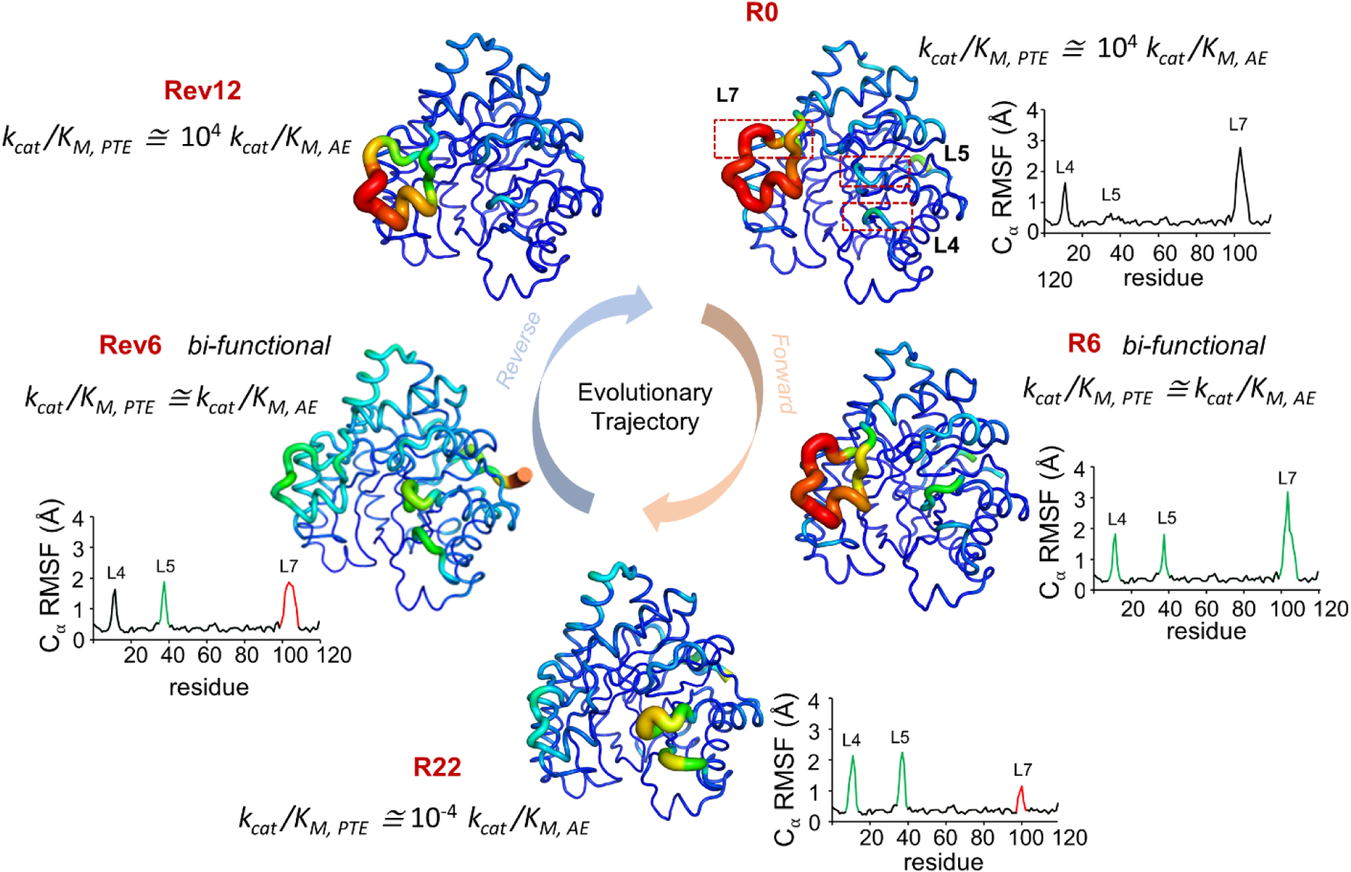 Figure 6: