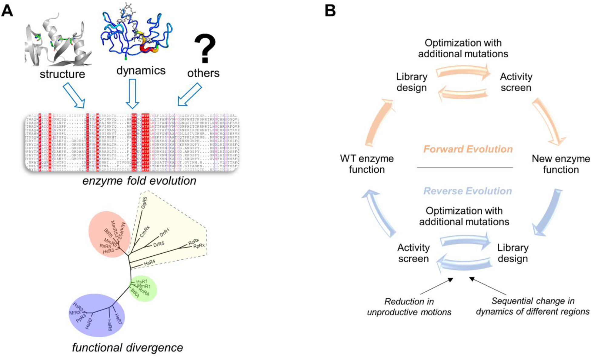 Figure 5: