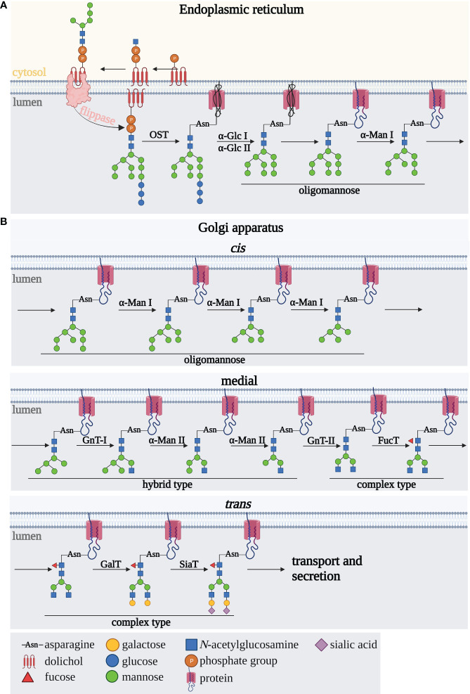 Figure 1