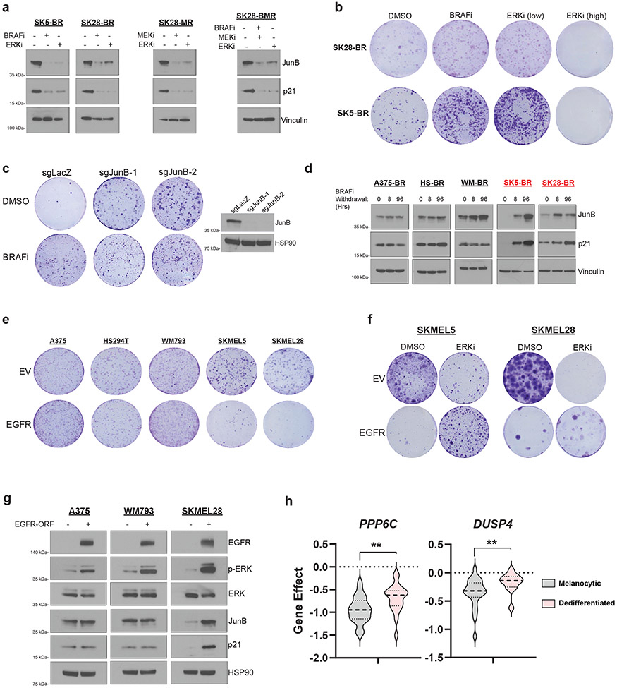 Fig 2: