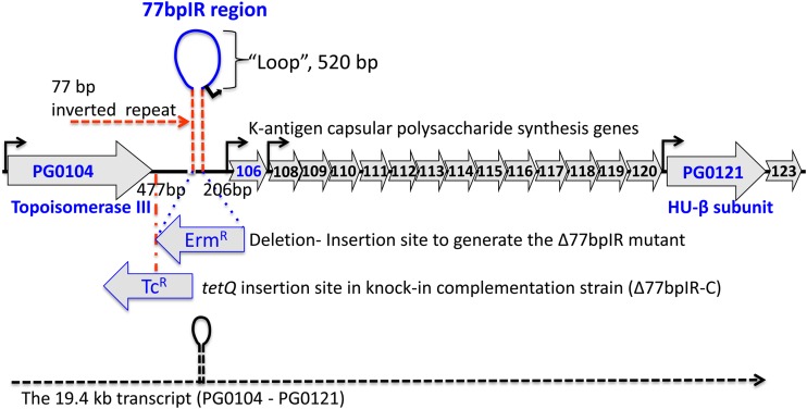 FIG 1