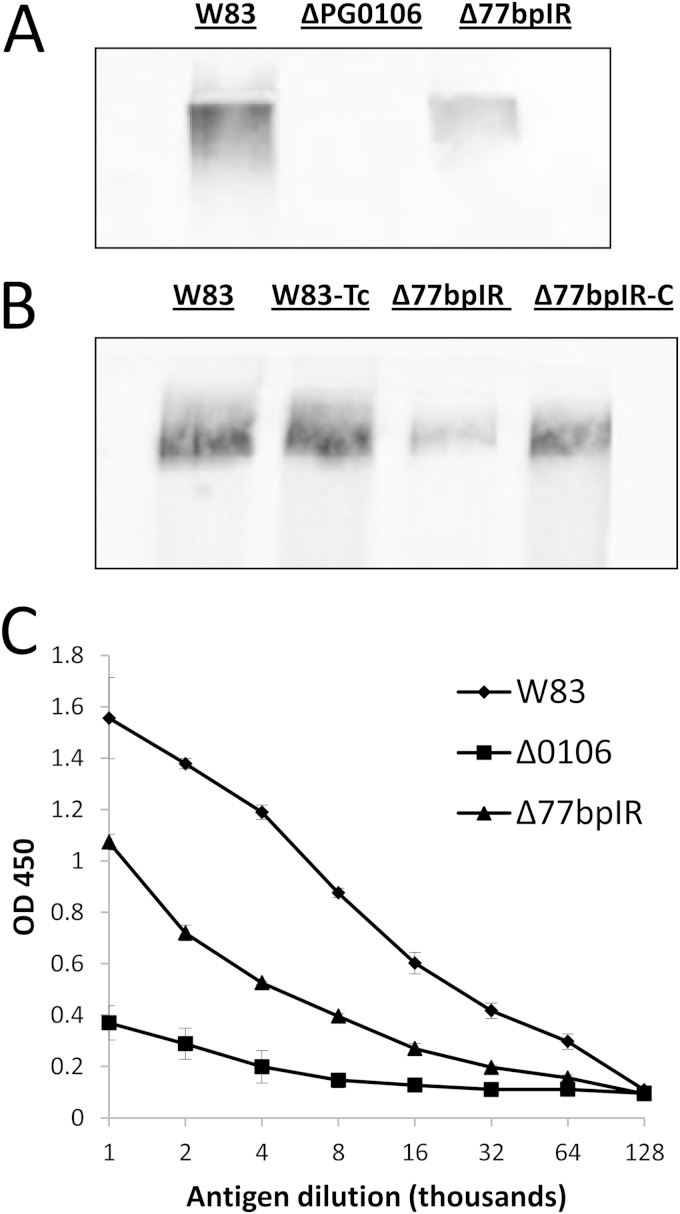 FIG 3