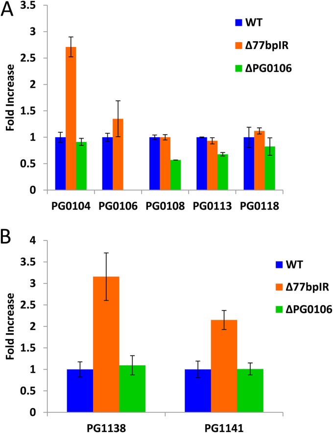 FIG 6