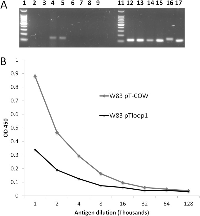 FIG 10