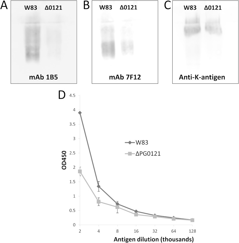 FIG 5