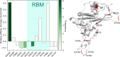 Figure 18: