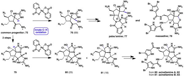 Scheme 16