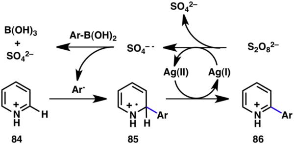 Scheme 17