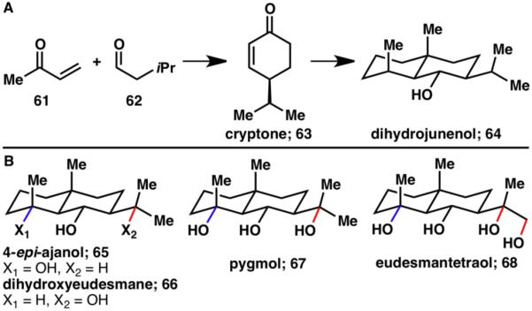 Scheme 14