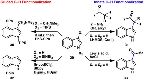 Scheme 6