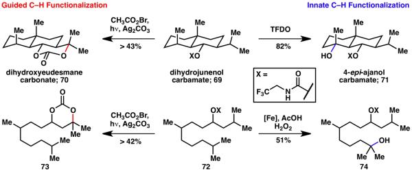 Scheme 15