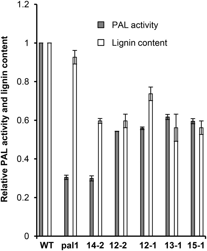 Figure 6.