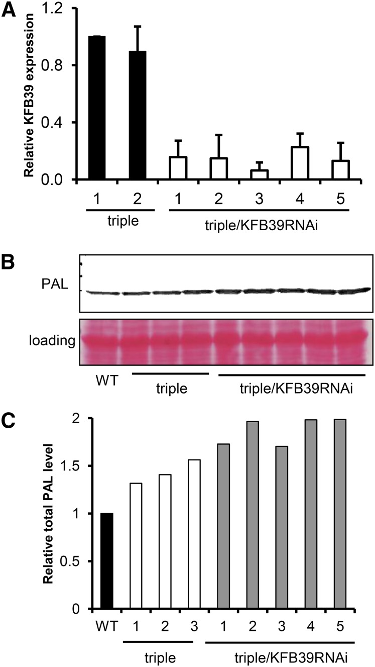 Figure 7.