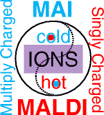 Graphical Abstract