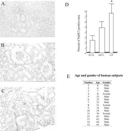 Figure 10.