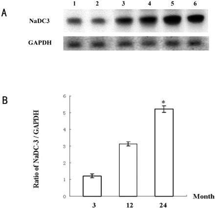 Figure 12.