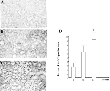 Figure 9.