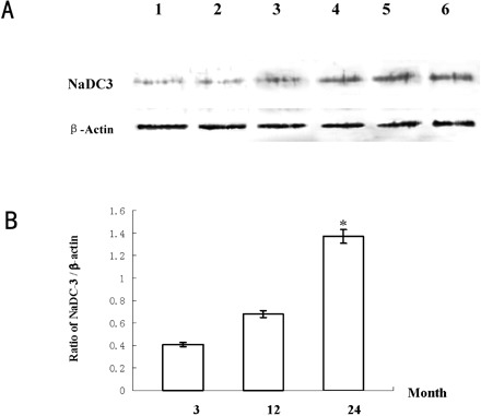 Figure 11.