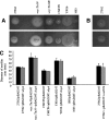 FIG. 8.