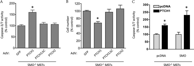 FIG 1