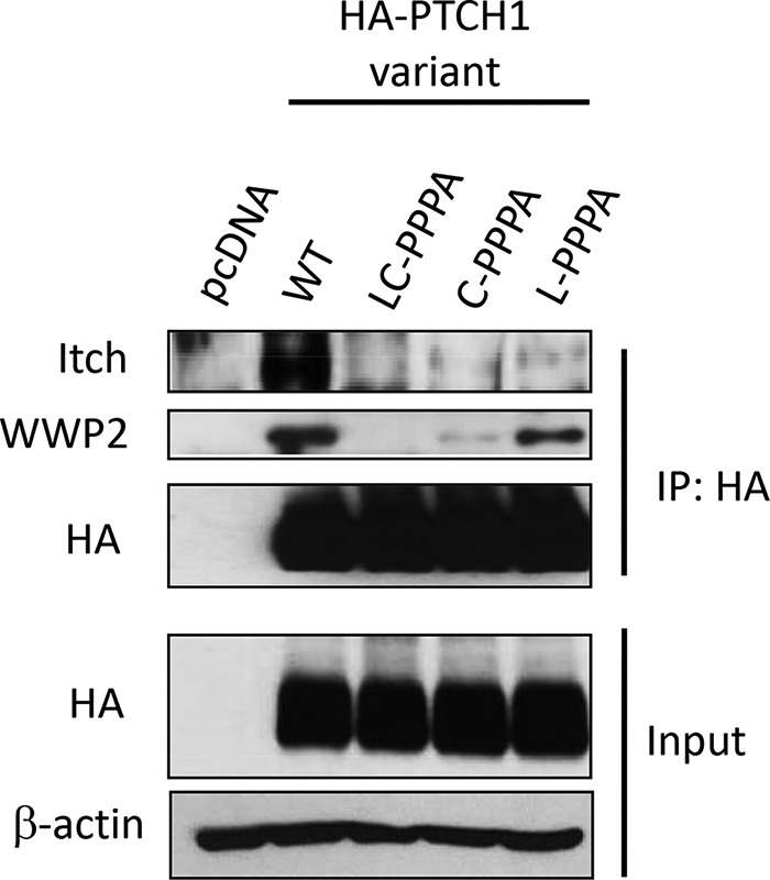 FIG 5